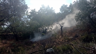 Muğla’da otluk alanda çıkan yangın söndürüldü