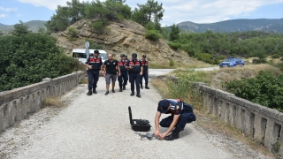 Sinop’ta aracı yanmış halde bulunan kadın için arama çalışması başlatıldı