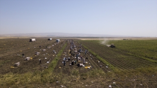 Duhok’ta patates üretiminin yüzde 200 artması çiftçinin yüzünü güldürdü