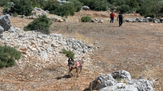 Mersin’de ailesinin kayıp başvurusunda bulunduğu kadın aranıyor