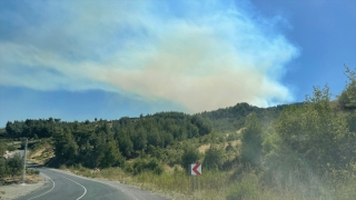 Kahramanmaraş’ta çıkan orman yangınına müdahale ediliyor