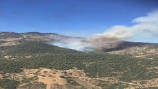 GÜNCELLEME Kahramanmaraş’ta çıkan orman yangınına müdahale ediliyor