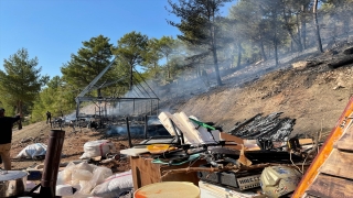 GÜNCELLEME Kaş’ta ormanlık alanda çıkan yangın kontrol altına alındı