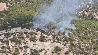 Manisa’nın Kula ilçesinde orman yangını çıktı