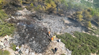 Manisa’daki orman yangını kontrol altına alındı