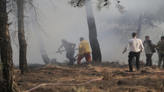 GÜNCELLEME Hatay’da ormanlık alanda çıkan yangın kontrol altına alındı