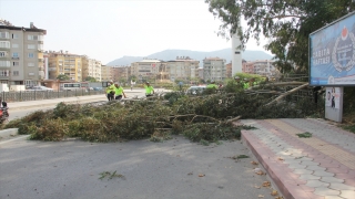 Hatay’da devrilen ağacın altında kalan motosikletteki 2 kişi yaralandı