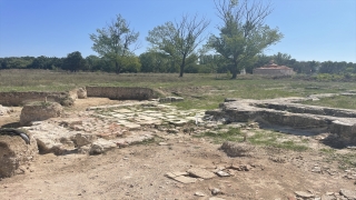 Edirne Yeni Sarayı kazısında patlamamış top mermisi bulundu