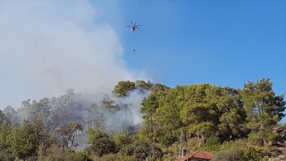 Antalya’da orman yangını çıktı