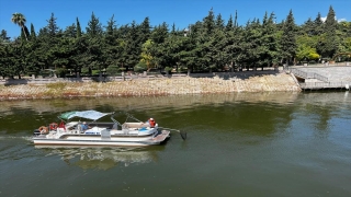 Hatay’da Asi Nehri’ni kaplayan su sümbülleri temizleniyor