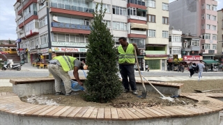 Sinop’ta Millet Bahçesi Projesi kapsamında 13 bin fidan dikilecek