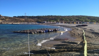 İzmir’de sahilde 1 düzensiz göçmenin cesedine ulaşıldı