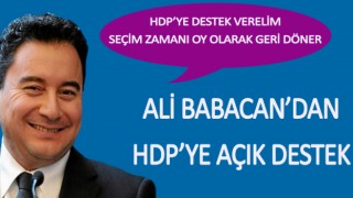 Ali Babacan'ın partisinden HDP'ye açık destek