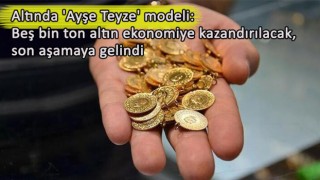 Bakan Nebati cumartesi günü kapsamlı bir destek ve tedbir paketi açıklayacak