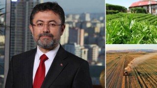 Tarımsal destek ödemesi ile yaş çay alım bedeli hesaplara aktarıldı