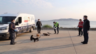 Kartal Belediyesi, sokak hayvanlarına mama ve su bıraktı