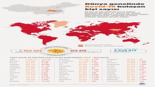 GRAFİKLİ Dünya genelinde Kovid19 tespit edilen kişi sayısı 7 milyon 336 bini geçti 