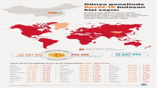 Dünya genelinde Kovid19 tespit edilen kişi sayısı 24 milyon 344 bini geçti