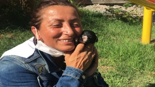 Bartın’da hayırsever kadın köpek yavrularını suni teneffüsle hayata döndürdü