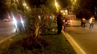 Kartal’da trafik kazası: 1 yaralı