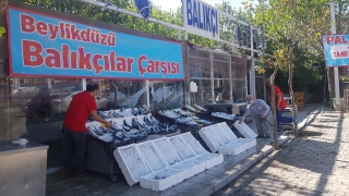 Palamut bolluğu tüketicinin de yüzünü güldürdü