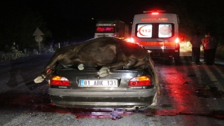 Düzce’de ineklere çarpan otomobildeki iki kişi yaralandı