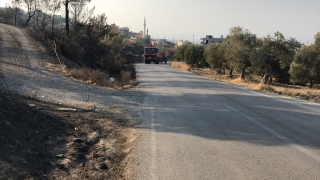 Hatay’daki orman yangınında soğutma çalışmaları tamamlandı