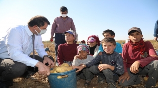 Sivas Valisi Ayhan’dan tarlada çalışan çocuklara eğitim müjdesi