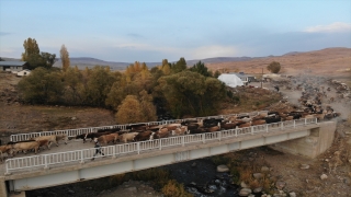 Ağrı’da sonbaharla renk cümbüşü oluşan doğa görsel şölen sunuyor