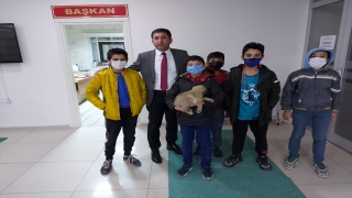 Sivas’ta çocukların yaralı köpek için verdiği çaba yürekleri ısıttı