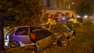 Ağaca çarpan aracın sürücüsü hayatını kaybetti