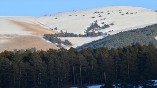 Kars ve Ağrı’da soğuk hava