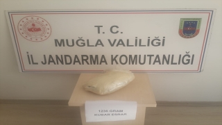 Taksideki müşterinin elindeki saksıda 1 kilo 235 gram esrar ele geçirildi