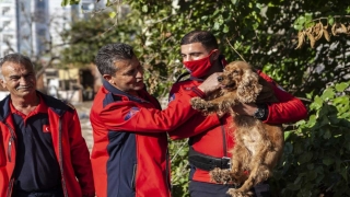 Mersin’de düştüğü kuyuda mahsur kalan köpeği itfaiye kurtardı