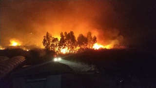 Muğla’da sazlık alanda çıkan yangın söndürüldü