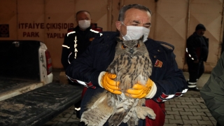 Soğuk havada bitkin düşüp apartman boşluğunda mahsur kalan puhuyu itfaiye kurtardı