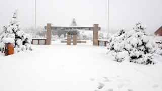 Kastamonu’da sis, Tokat’ta kar yağışı ulaşımda aksamalara neden oldu