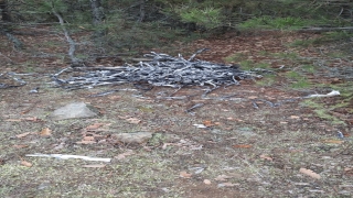 Kastamonu’da kablo hırsızlığı iddiasıyla 10 şüpheli yakalandı