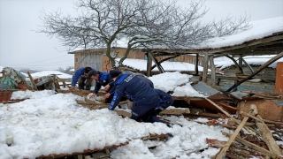 Sakarya’da kardan çöken çatının altında kalan koyunlar kurtarıldı