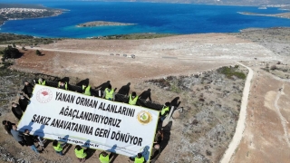 Çeşme’de yangından zarar gören alana 5 bin sakız ağacı fidanı dikildi