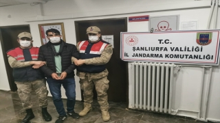 Şanlıurfa’da 15 yıldır aranan cinayet hükümlüsü operasyonla yakalandı