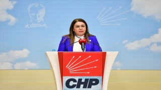 CHP’li Gülizar Biçer Karaca, İnsan Hakları Eylem Planı’nı değerlendirdi: