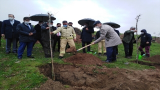 Kilis’te Orman Haftası etkinlikleri kapsamında, yangında zarar gören alanlara fidan dikildi