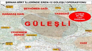 İçişleri Bakanlığınca, Şırnak ve Siirt’te 1317 personelin katılımıyla ”Eren12 Güleşli Operasyonu” başlatıldı.