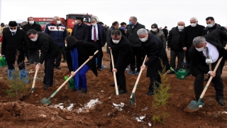 Kırşehir’de ”Ahi Evran Kardeşlik Ormanı” oluşturuldu