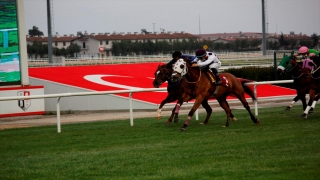 9. Uluslararası Portakal Çiçeği Karnavalı sona erdi