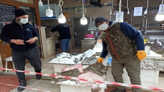 Sinop’ta ağlara takılan kalkan balıkları balıkçıların yüzünü güldürdü