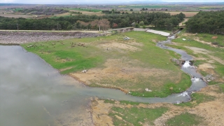 Edirne’de kuruyan baraja Meriç Nehri can suyu oldu