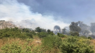 Antalya’da zeytinlik ve makilik alanda çıkan yangın söndürülmeye çalışılıyor