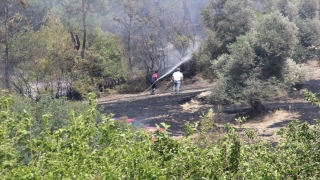 Osmaniye’de tarladan ormanlık alana sıçrayan anız yangını kontrol altına alındı